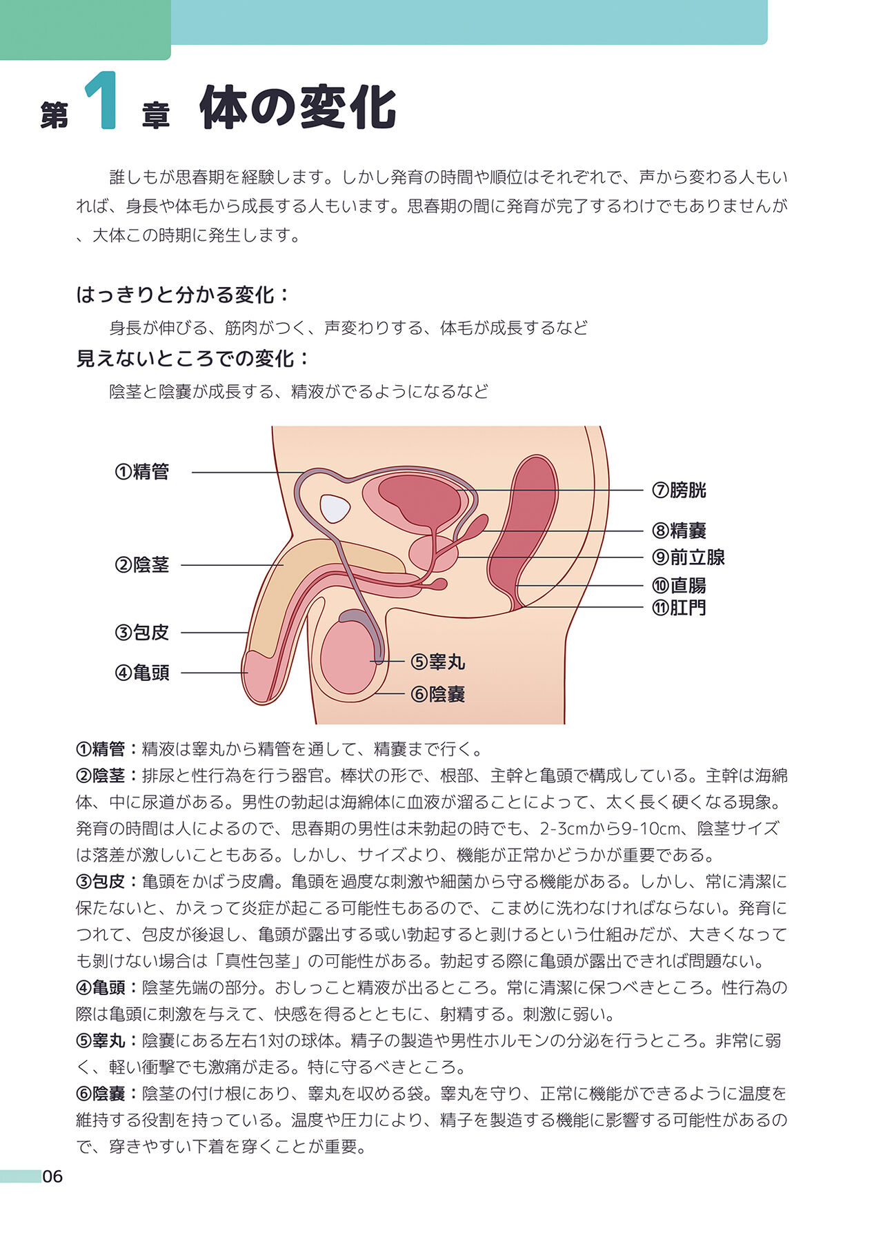 Erotic Sex Education For Boys page 6 full