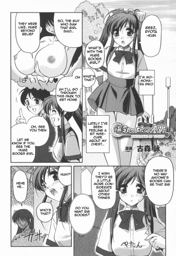 The Melancholy of the Huge Boobs Girl cover