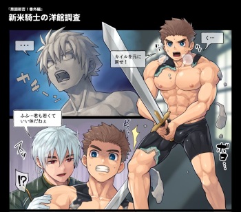 the novice knight's first mission cover