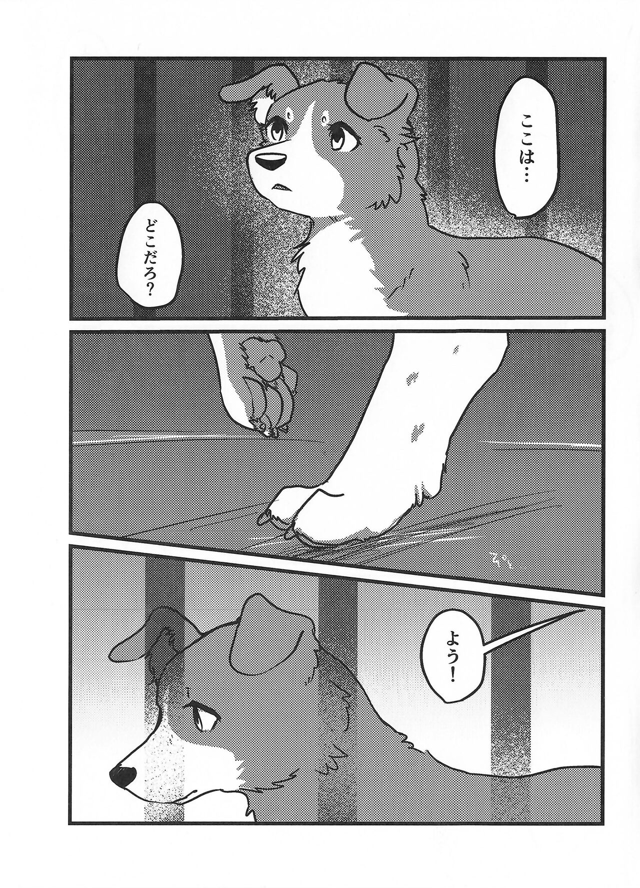 DOG.IN.CAGE The best in corn page 2 full