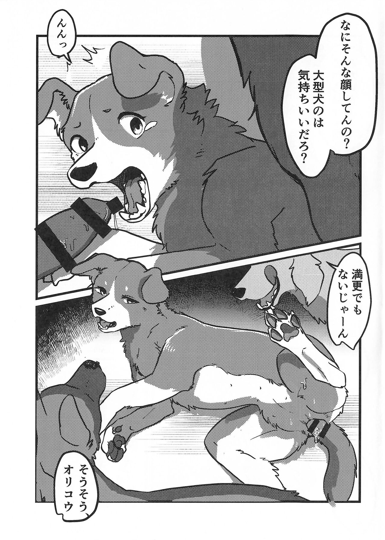 DOG.IN.CAGE The best in corn page 6 full