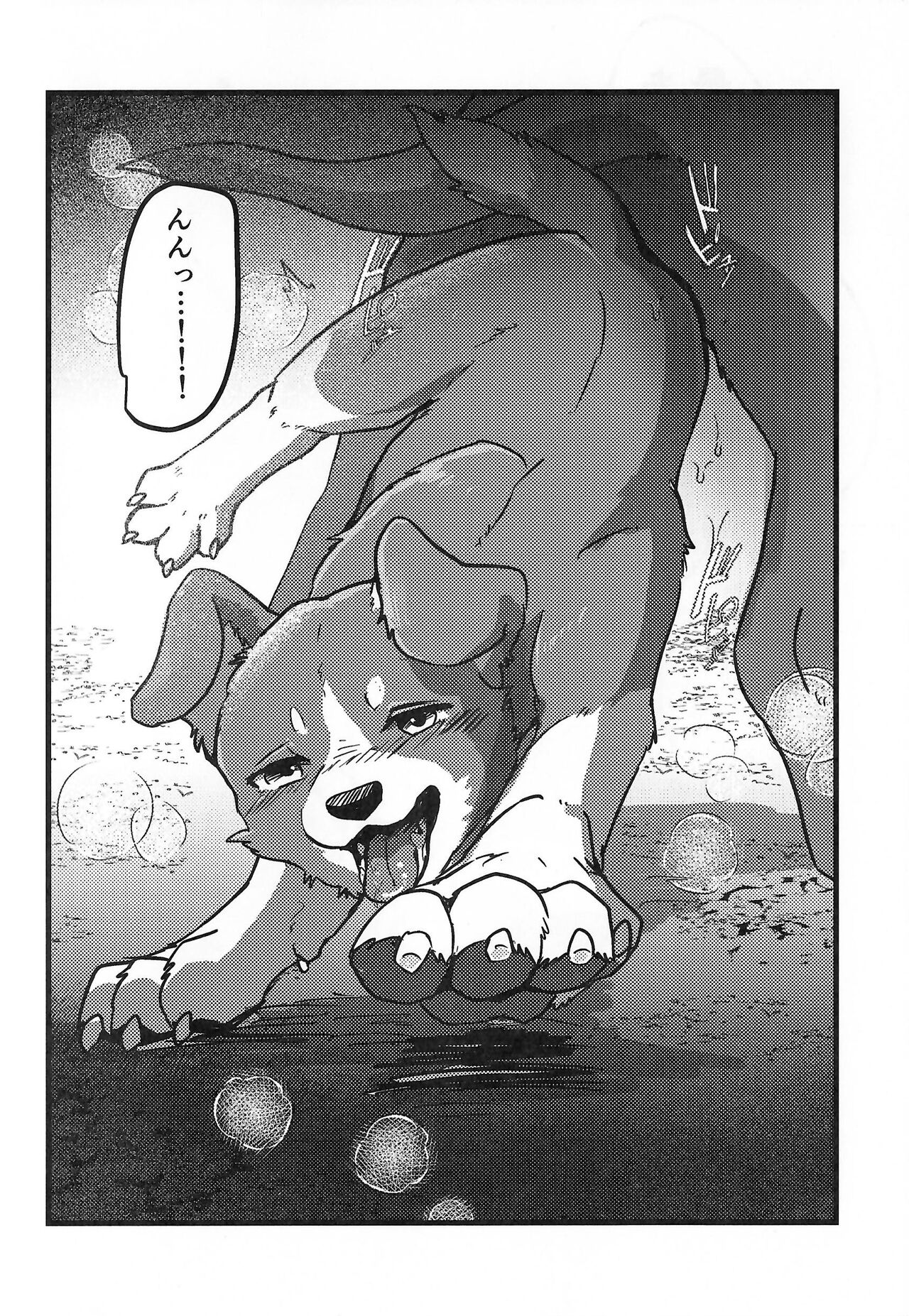DOG.IN.CAGE The best in corn page 9 full