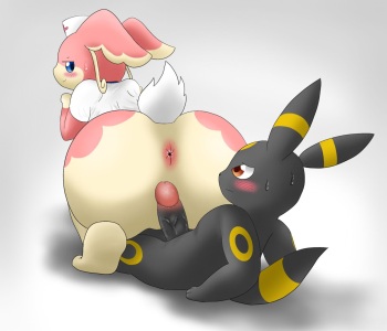 Audino's Service cover