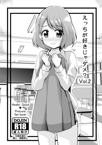Ecchi ga Suki ja Dame? Vol, 02 cover