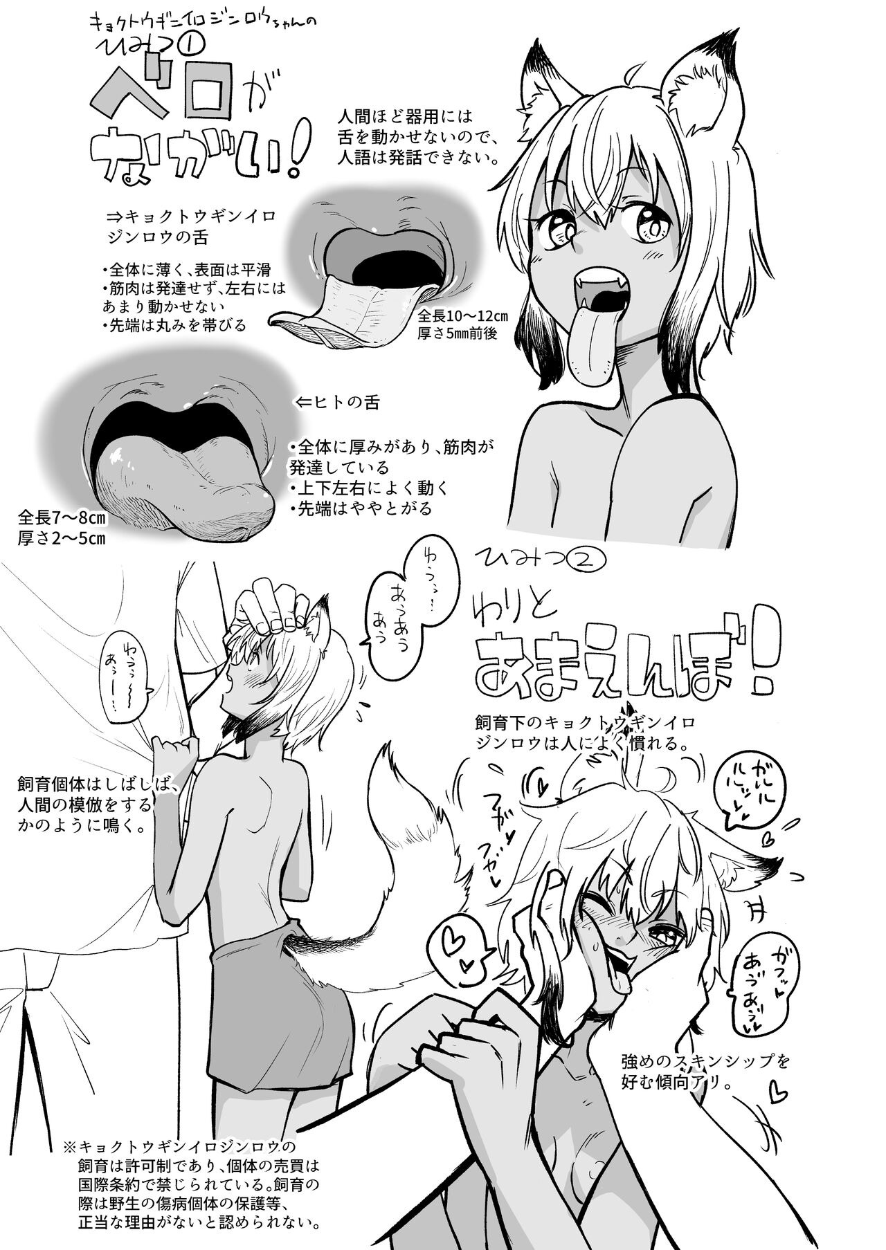 Zukai Kyokutou Giniro Jinrou-chan no Kaikata Handbook Hatsujouki no Osewa Hen page 4 full