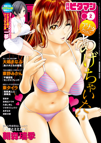 Monthly Vitaman 2017-02 cover