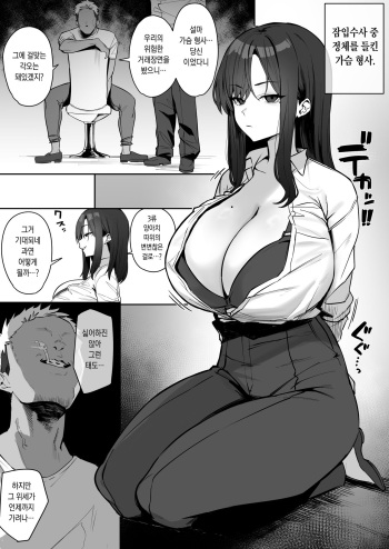 Oppai Deka 3 cover