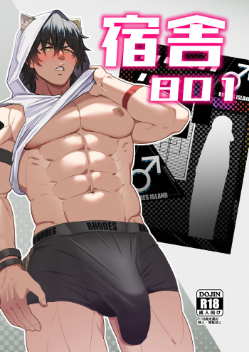 Shukusha 801 cover
