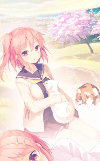 Koi Kakeru Shinai Kanojo cover