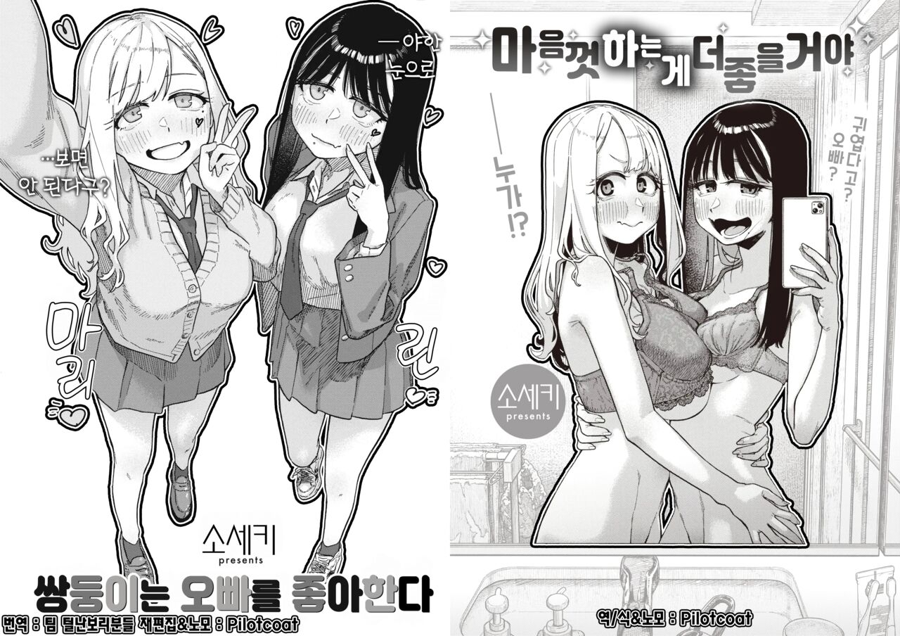 Futago wa Onii-chan ga Osuki &amp; Omoikiri Shita Hou ga Ii wa | 쌍둥이는 오빠를 좋아한다 &amp; 마음껏 하는게 좋을거야 page 1 full