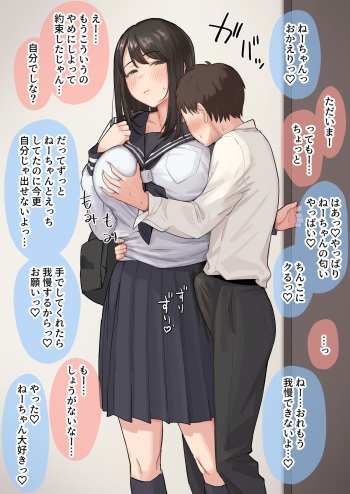 Seiyoku ga Sugoi Otouto no Onegai o Kotowarenai Onee-chan no Hanashi cover