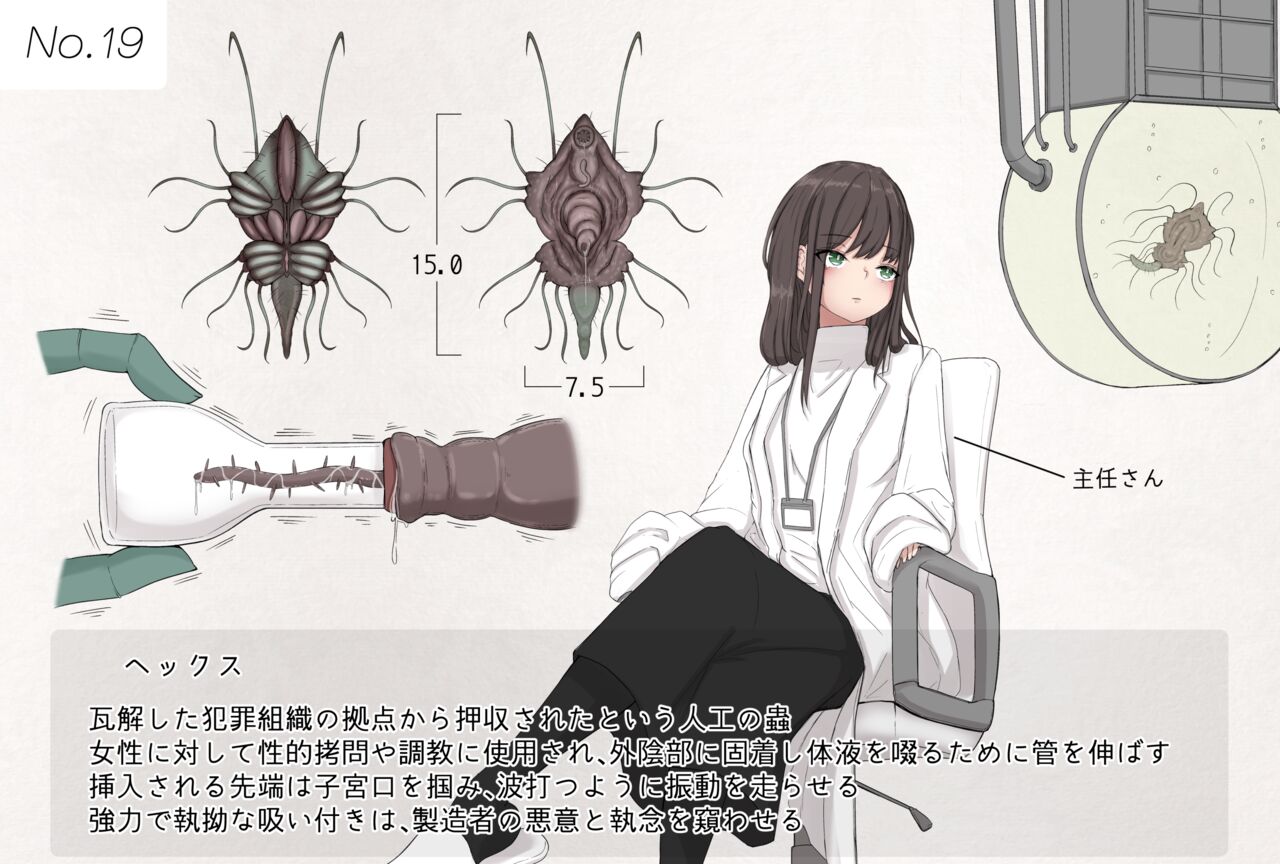 Insect research report No.19 page 1 full