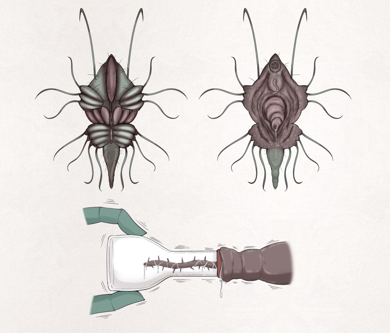 Insect research report No.19 page 5 full