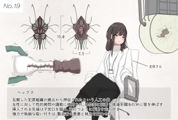 Insect research report No.19 cover
