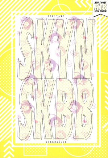 SKYNSKBB cover