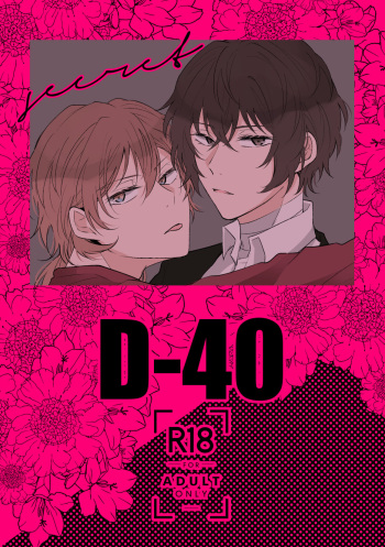 D-40 cover