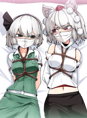 Youmu to Momiji cover