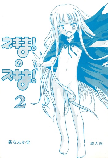 Negima! no Sukima! 2 cover