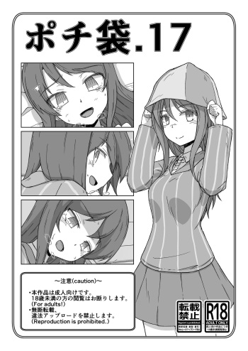Pochibukuro. 17 cover