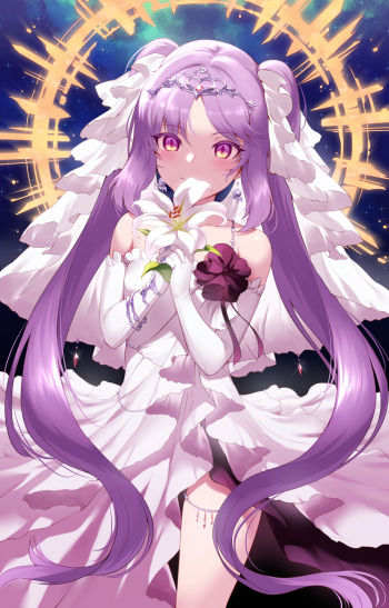 Hanayome Megami Euryale cover