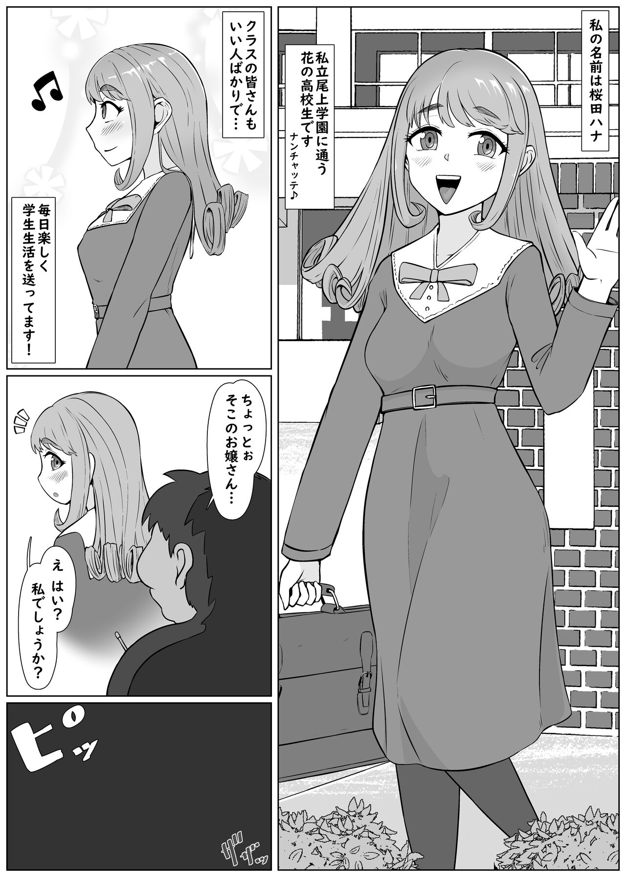 nan ya tteta no watashi! ? - Hakoiri ojōsama ga kuro bitchi ni tenraku suru made - page 1 full
