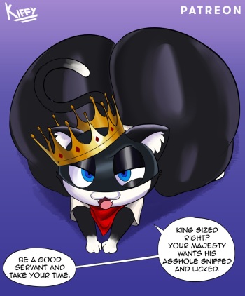 Gay Morgana cover