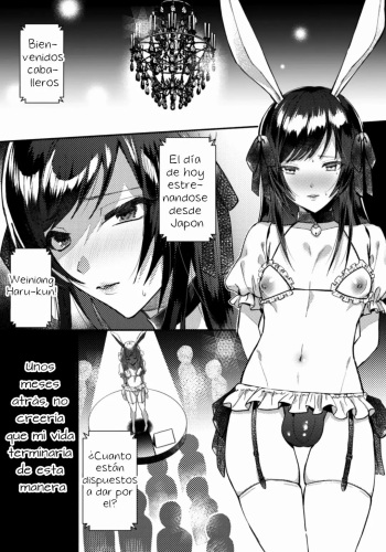 Wareta Kagami cover