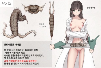 Mushi Research Report No.12 cover