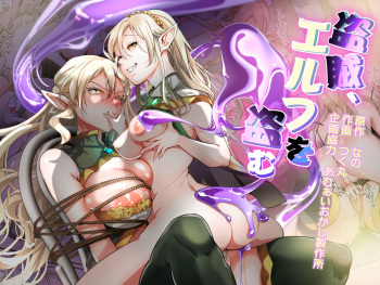 Touzoku, Elf o Nusumu cover