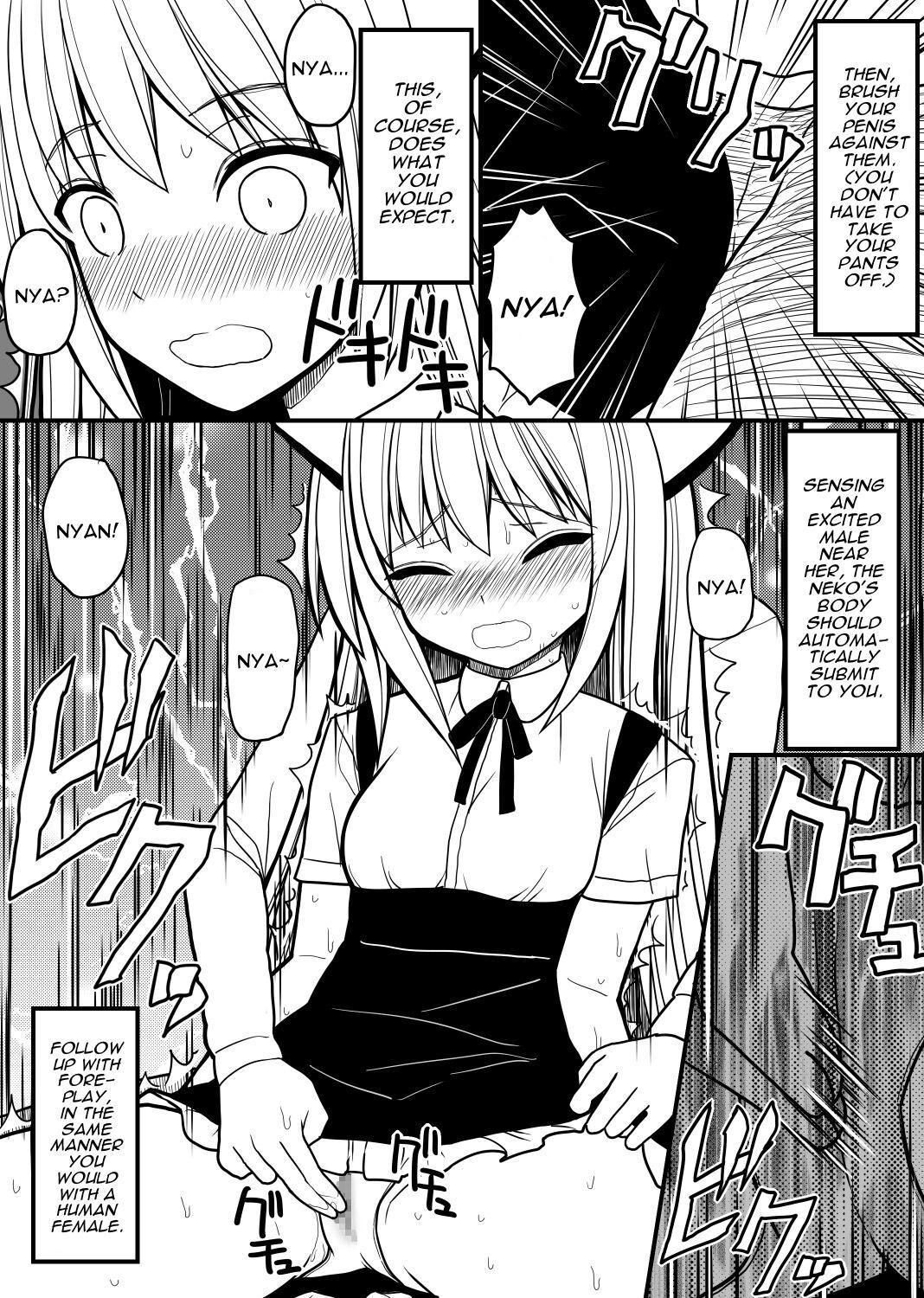 Hito neko no kaikata ～Hatsujo-ki-hen～ | How To Raise A Humancat ~Mating Season Edition~ page 9 full