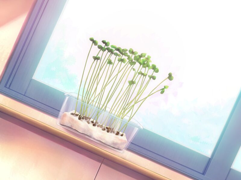 - Kaiware! page 3 full