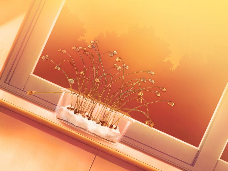 - Kaiware! page 4 full