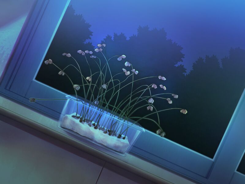 - Kaiware! page 5 full