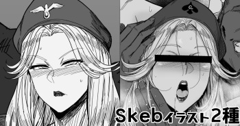Skeb2種 cover