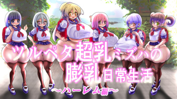 Tsurupeta Chounyuu Mizuha no Bounyuu Nichijou Seikatsu Harem Hen cover