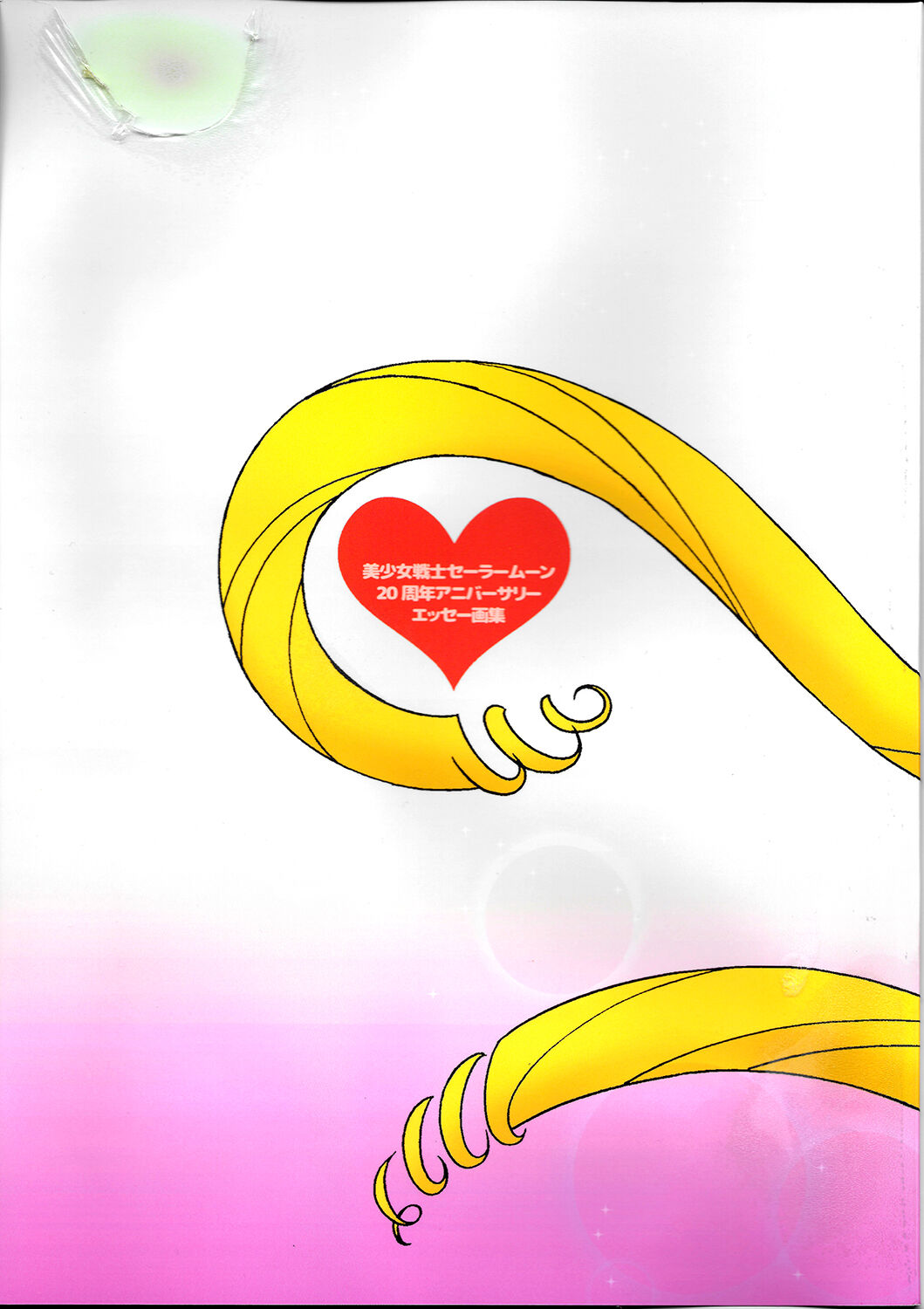 20th Anniversary Essay &amp; Artbook page 1 full