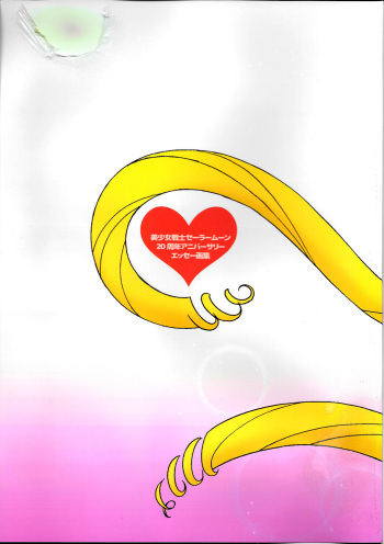 20th Anniversary Essay &amp; Artbook cover