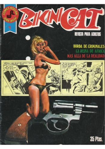 Bikini Cat #1 cover