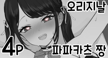 P-katsu-chan cover