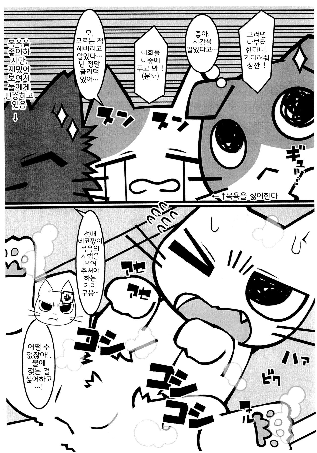 Shikaneko's Awa-awa Grooming! | 잔소리 고양이's 보글보글 그루밍! page 3 full