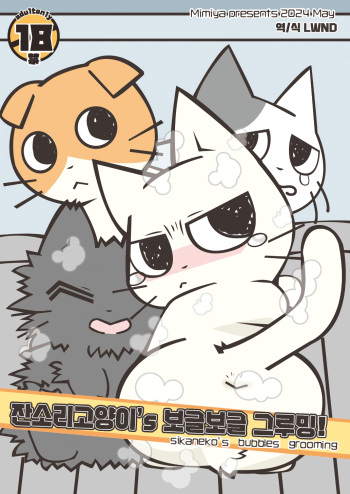Shikaneko's Awa-awa Grooming! | 잔소리 고양이's 보글보글 그루밍! cover