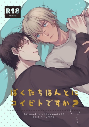 Bokutachi hontoni koibitodesuka? cover