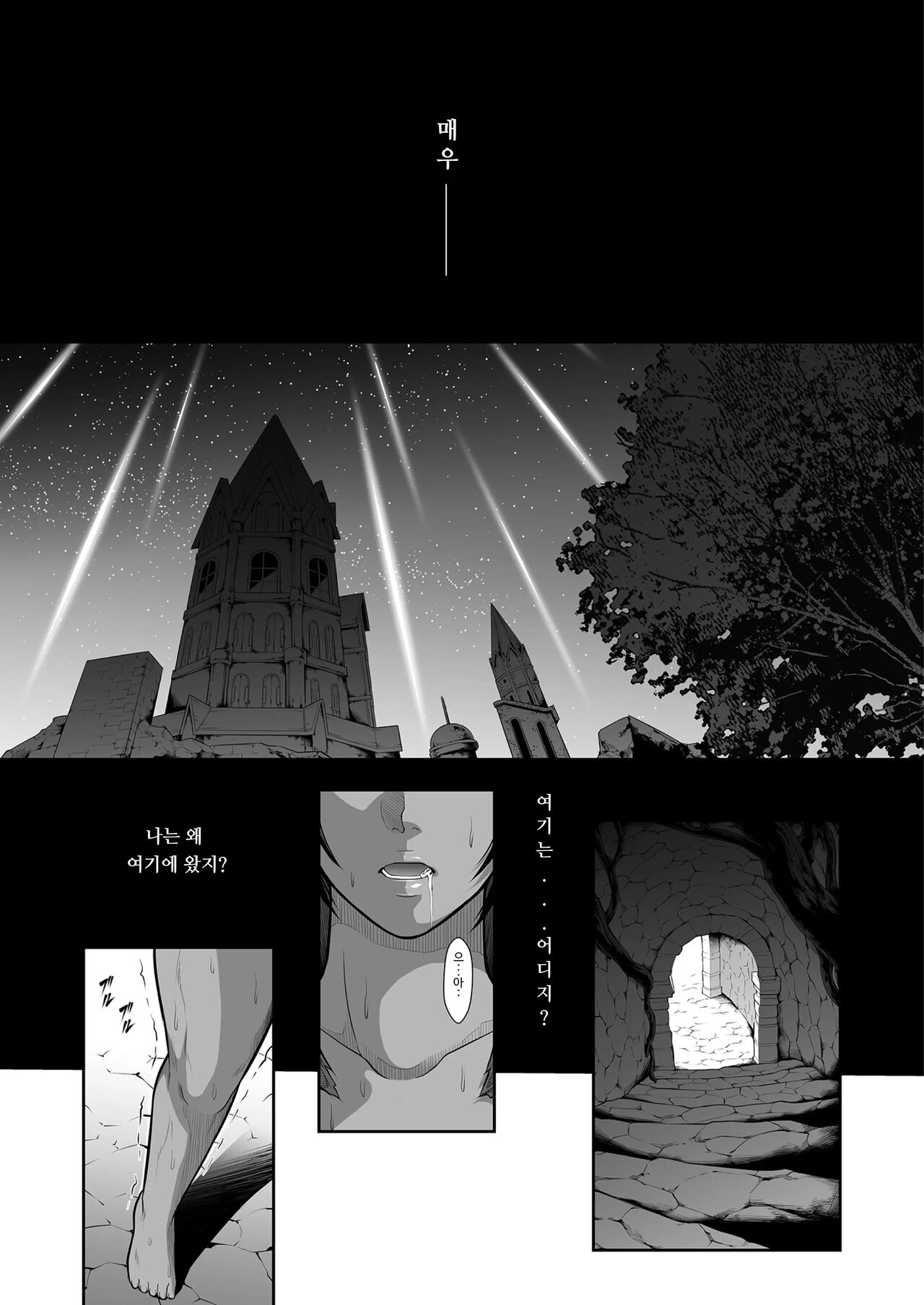 Kugutsu ni Ochita Entaku no Onna Senshi | 꼭두각시로 전락한 원탁의 여전사 page 9 full