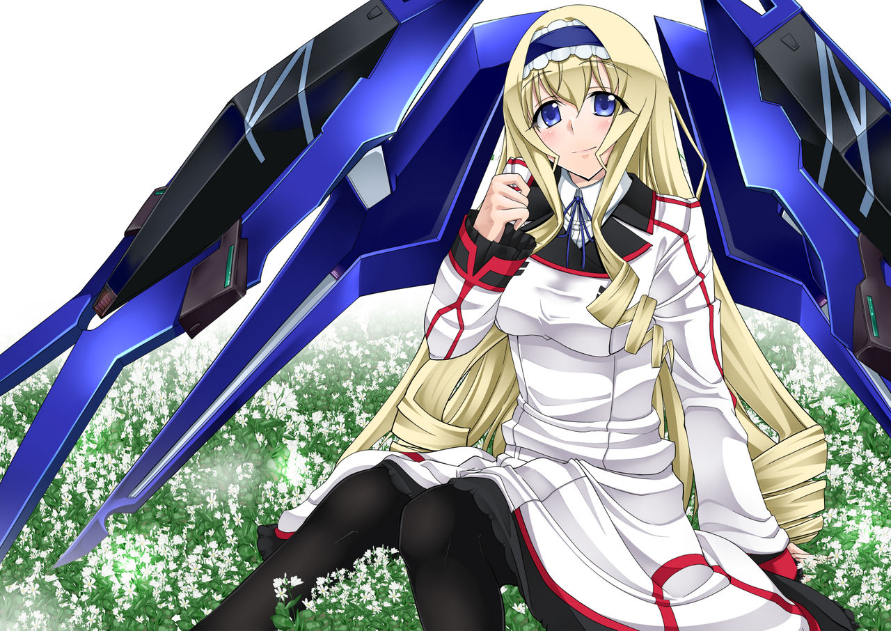 infinite stratos page 8 full