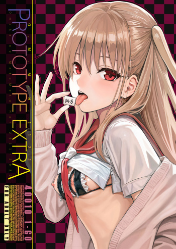 PROTOTYPE EXTRA - Omake wo Matometa Hon 2011-2022 cover