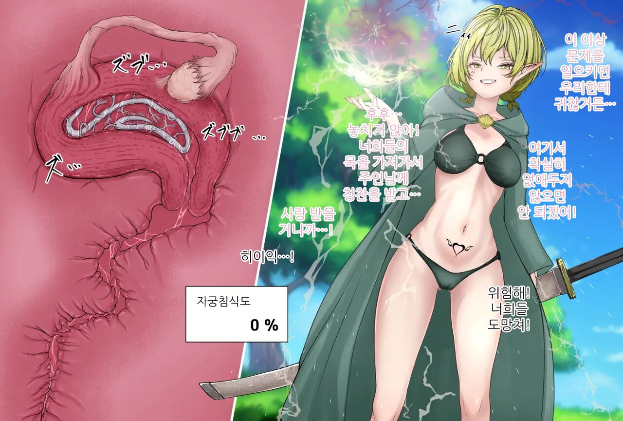 Kiseichuu ni Maryoku o Ubawareru Elf Mahoutsukai | 기생충에게 마력을 빼앗기는 엘프 마법사 page 3 full