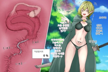 Kiseichuu ni Maryoku o Ubawareru Elf Mahoutsukai | 기생충에게 마력을 빼앗기는 엘프 마법사 cover