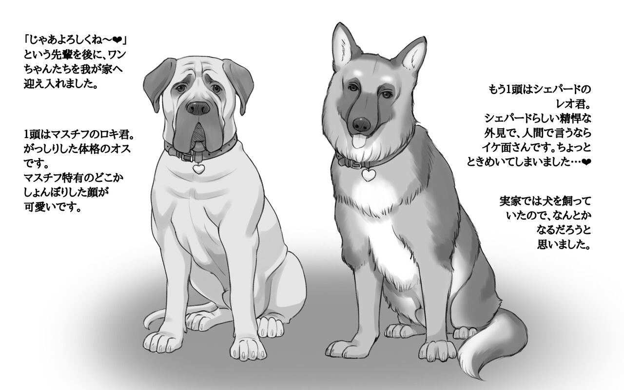 DOG LOVERS ~Senpai no Inu ni Ikasareta Watashi~ page 6 full