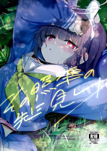 Sono Shoujun no Saki ni Miyu cover