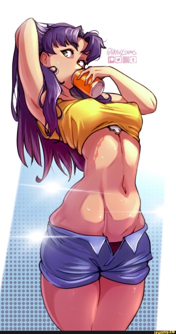 Evangelion Hentai Set cover